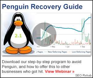SEO Rehab Review