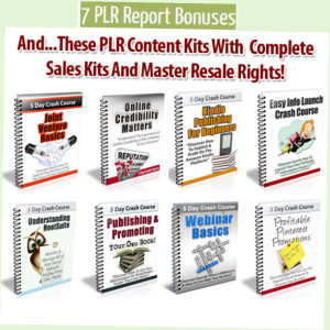 7PLR-Content-Reports