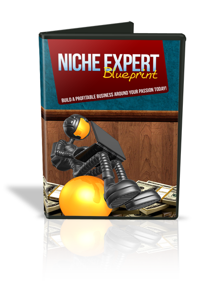 Niche Expert Blueprint