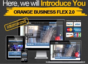 Orange-businessflex2.0