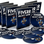 PLR Fiverr Business In a Box Review