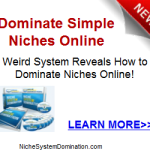 Niche System Domination Review