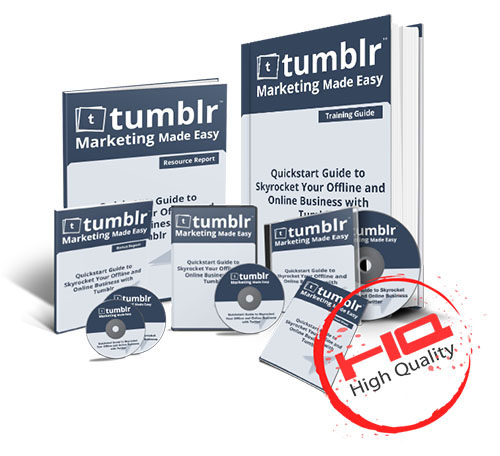 Tumblr Biz In a Box Review