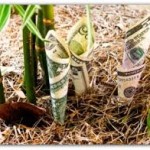 Use The Power Of Niche Blogs To Generate Income Online