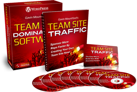 Team Site Traffic System Review