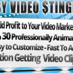 Easy Video Stingers Review