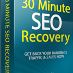 30 Minute SEO Recovery Review