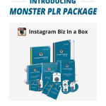 nstagram Biz in a Box Review