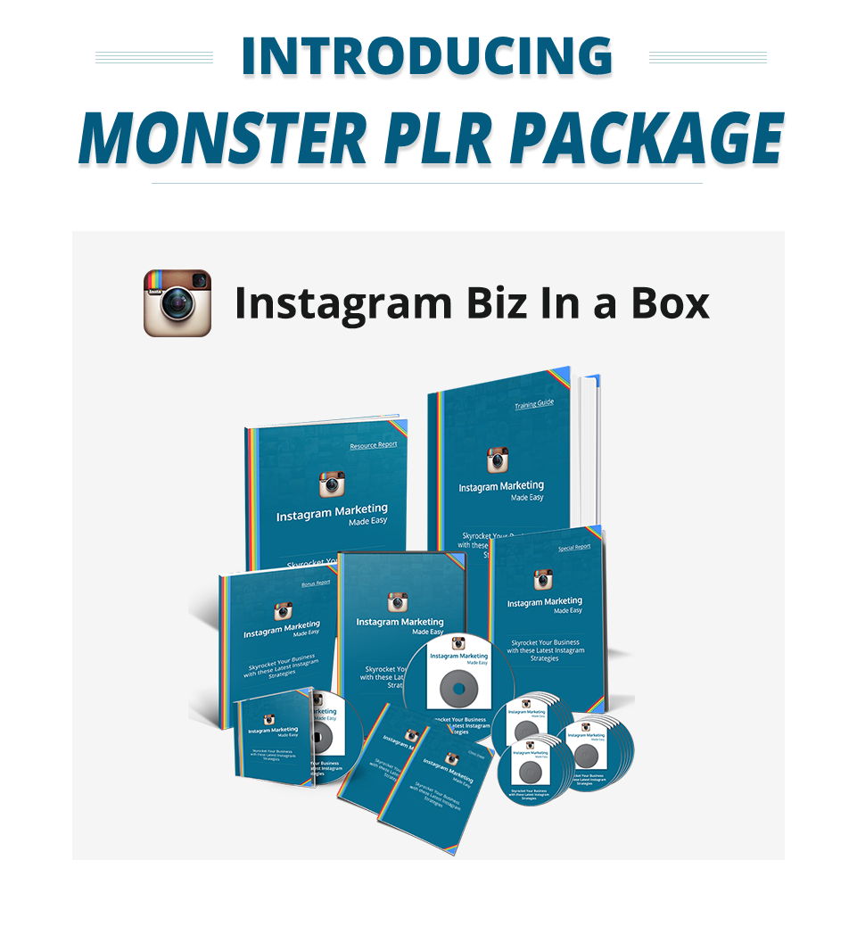 nstagram Biz in a Box Review